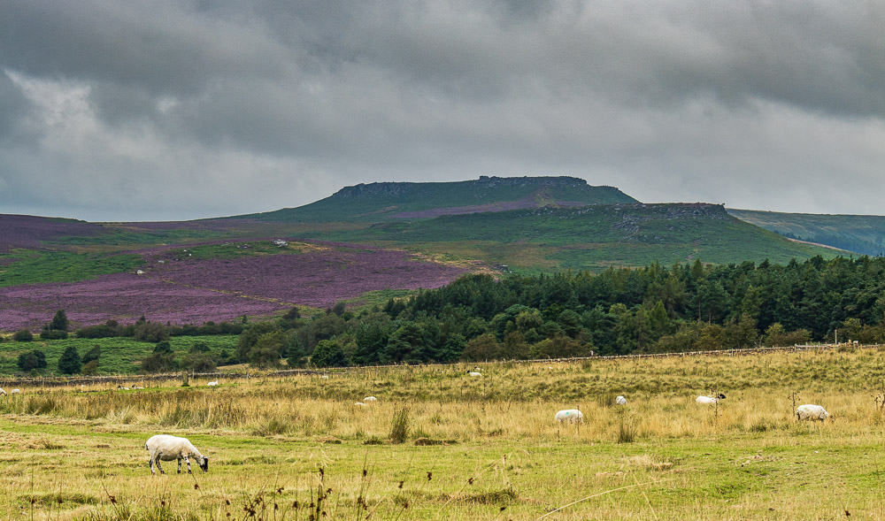 Higger Tor Higger Tor
